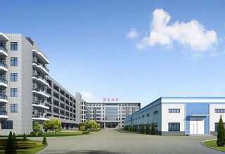 上海四条筋花型哪家好